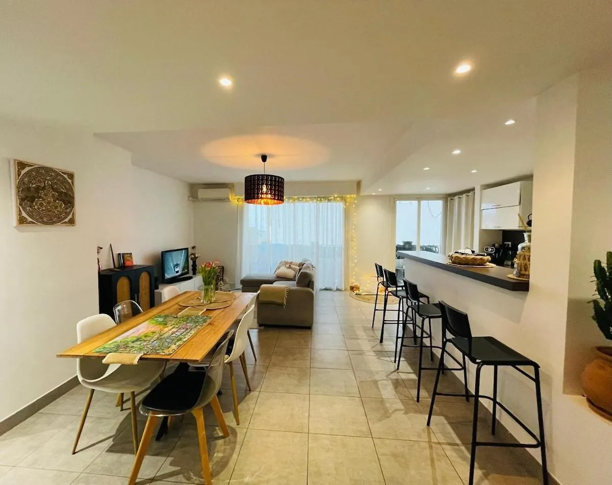 Bel Appartement Lumineux Avec Balcon Le Cannet France